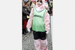 Turmacell-2013-3